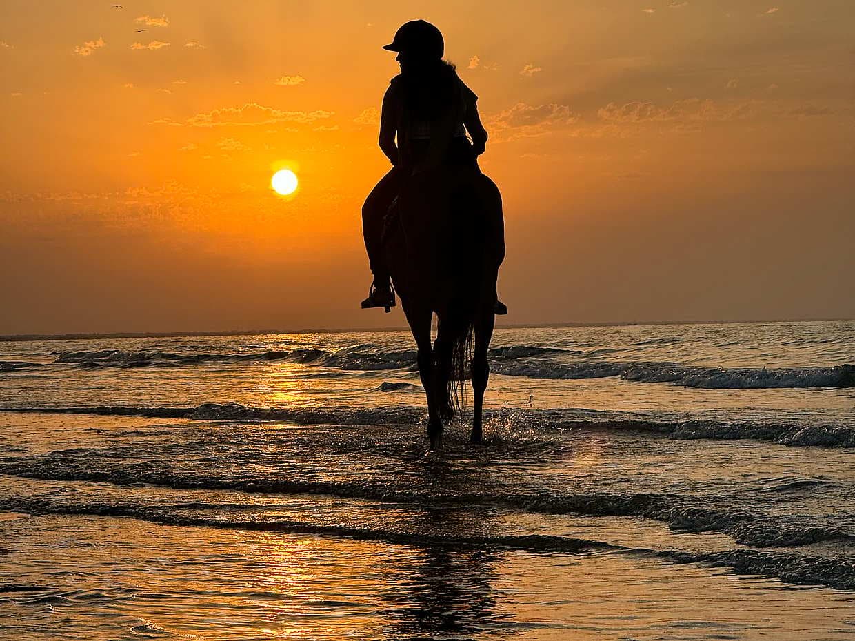 A rider at the water’s edge at sunset