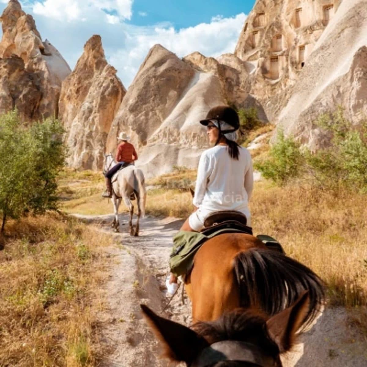 View over a horse’s ears along a valley path between rock cones
