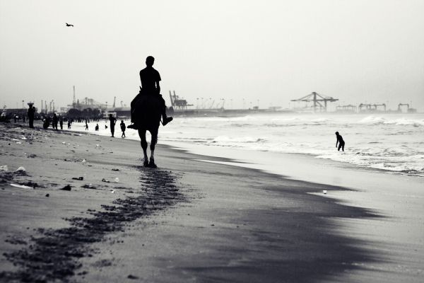 Horse Riding in India