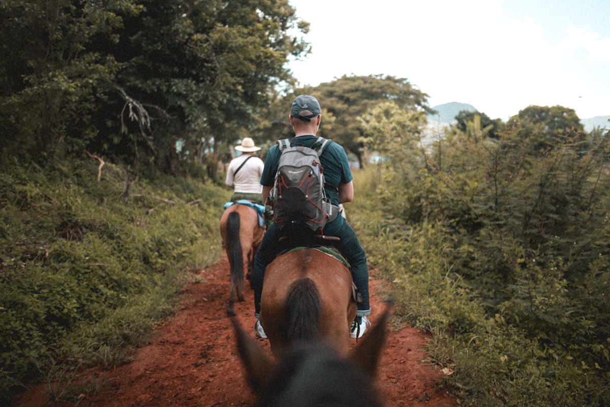 Rider in landscape